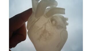 Coração 3D Anatômico STL para Imprimir