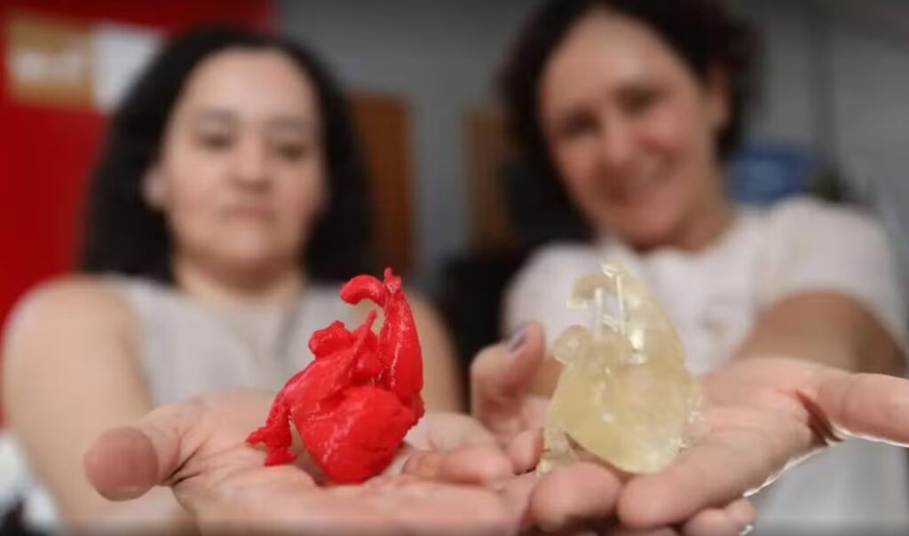 Equipe do Hugol mostra impressões em 3D em tamanho real de coração de bebê: caso raro de síndrome de hipoplasia